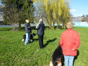 educateur chien_ecole